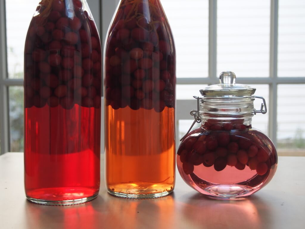 This cranberry gin is a New England take on a British classic, sloe gin. This gently sweetened infused gin liqueur is easy to make, with suggestions on ways to adapt the flavors. Perfect for festive sipping or giving as a gift. bottles of cranberry gin lined up next to each other