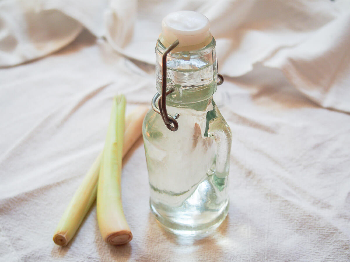 bottle of lemongrass syrup small bottle of lemongrass syrup with lemongrass stalks to side