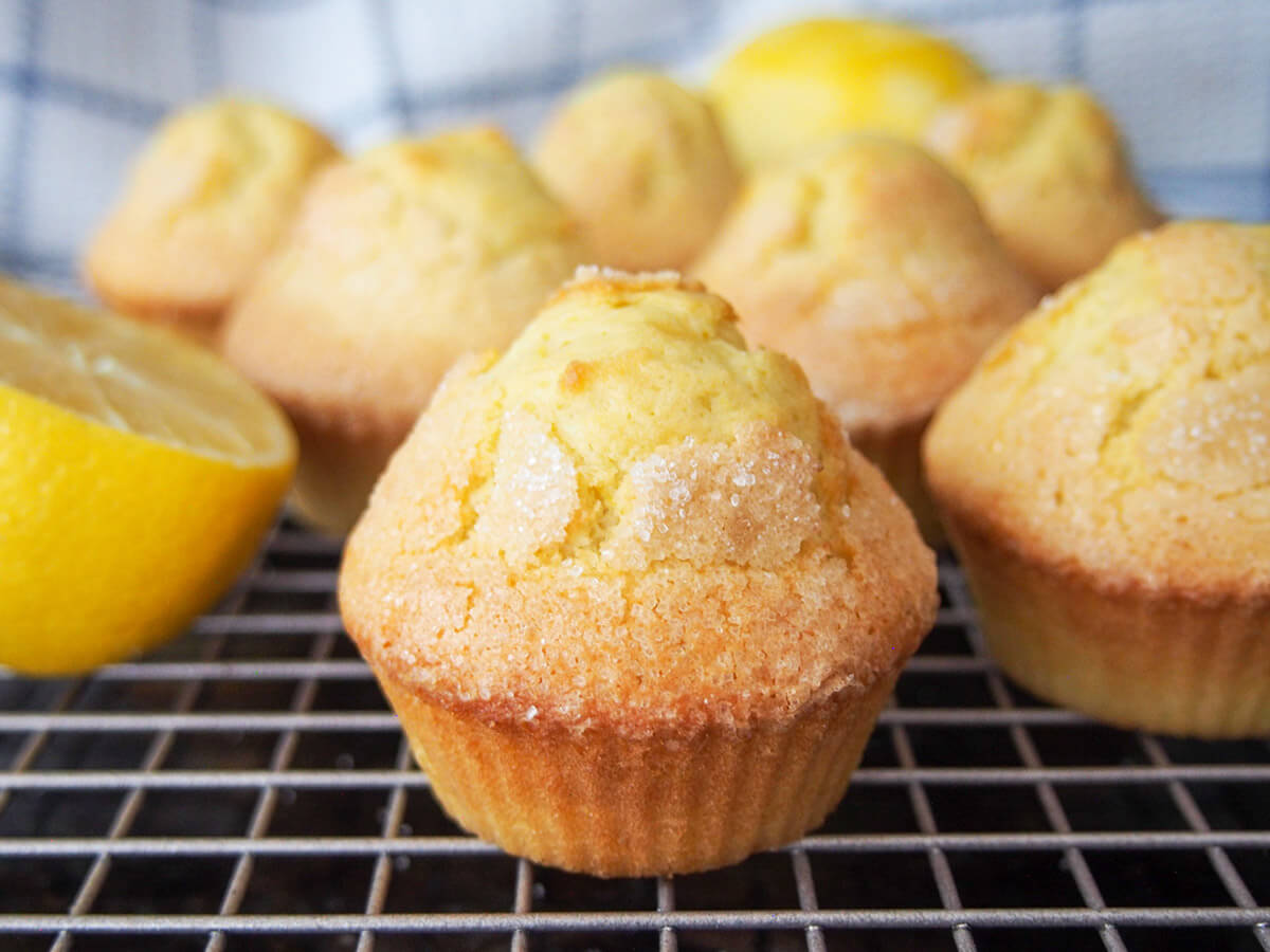 Magdalenas are deliciously light Spanish lemon and olive oil muffins. Easy to make with only a few ingredients and perfect warm out the oven. magdalenas Spanish muffins on cooling rack