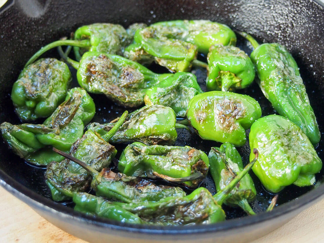 blistered Padron peppers in skillet blistered padron peppers close up in skillet